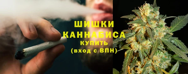 PSILOCYBIN Беломорск